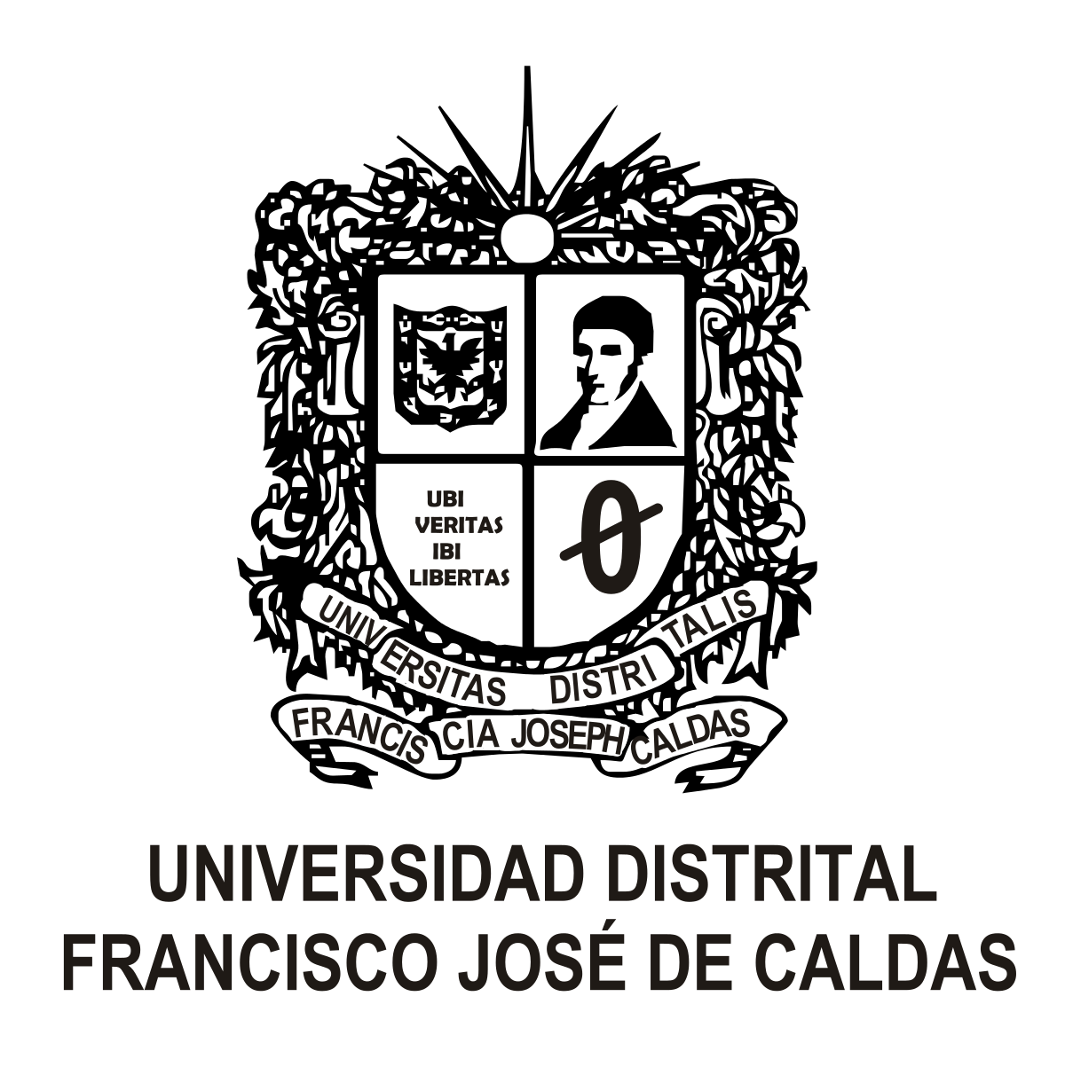 UNIVERSIDAD DISTRITAL FRANCISCO JOSÉ DE CALDAS (Colombia)